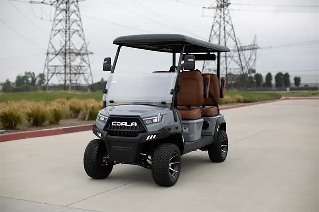 Coala 4 FF Gray Front2